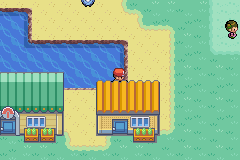 Screenshot of a Pokemon game showing a visual glitch where the player's hat is obscured by something that should be behind and below the player. 